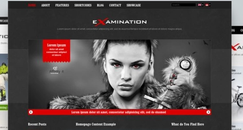 AIT – Examination WordPress Theme