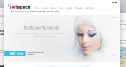 AIT – Netspace WordPress Theme