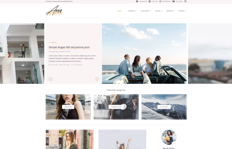 Aena - Content Focused WordPress Theme