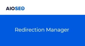 All In One SEO Pro Redirection Manager