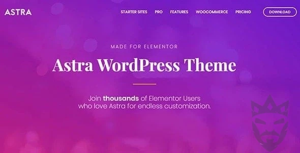 Astra WordPress Theme