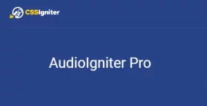 AudioIgniter