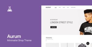 Aurum - WordPress  WooCommerce Shopping Theme