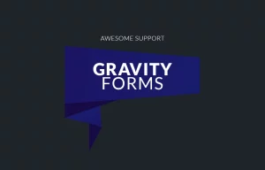 Awesome support Gravity Forms Bridge