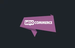 Awesome support WooCommerce