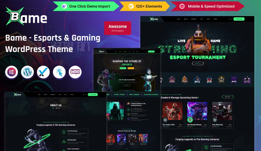 Bame - eSports and Gaming WordPress Theme