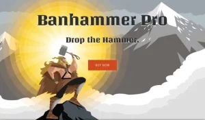 Banhammer Pro - Monitor Traffic and Ban Unwanted Visitors