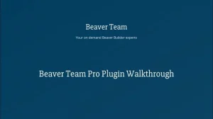 Beaver Team Pro