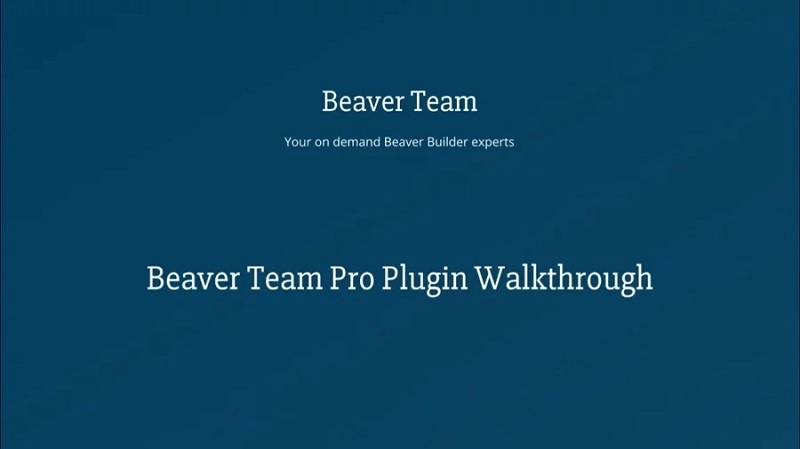 Beaver Team Pro