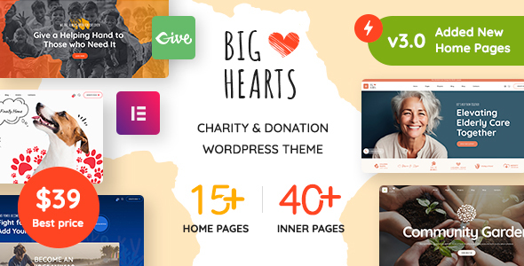 BigHearts - Charity  Donation WordPress Theme