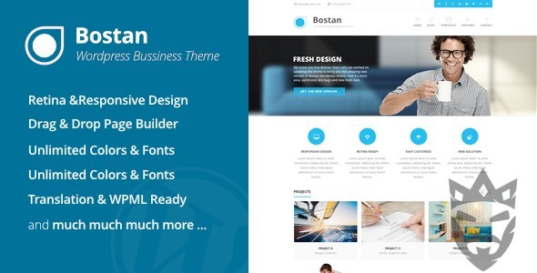 Bostan - Business Theme