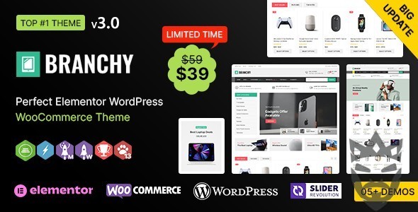 Branchy WP - Elementor Multi-purpose WooCommerce Responsive Theme