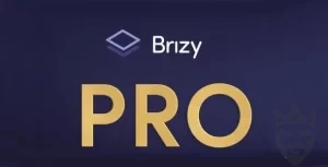 Brizy Pro