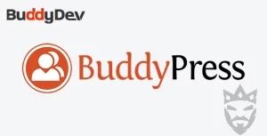 BuddyPress Auto Friendship Pro