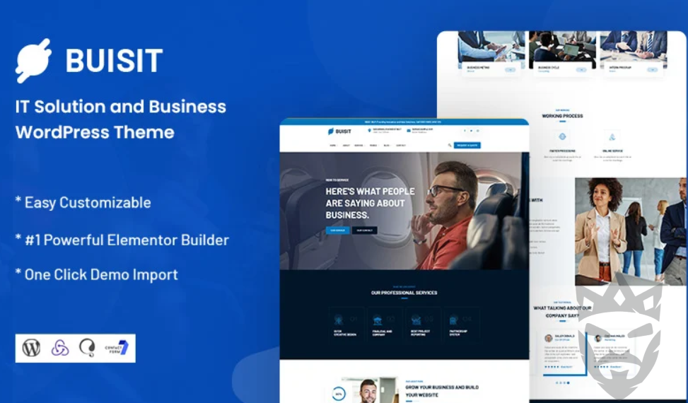 Buisit – IT Solution and Business WordPress Theme