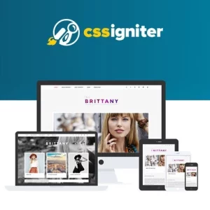 CSSIgniter Brittany WordPress theme