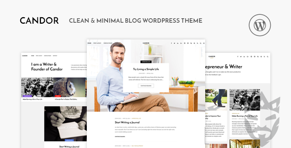 Candor - Responsive WordPress Blog Theme