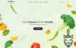 Cauliflower - Organic Food Blog WordPress Elementor Theme WordPress Theme