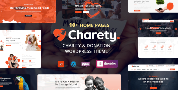 Charety - Charity  Donation WordPress Theme