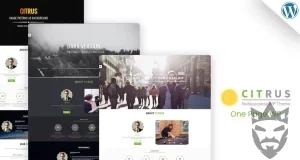 Citrus - One Page WordPress Theme