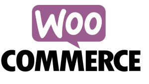 Conditional Payment Methods For WooCommerce