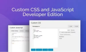 Custom CSS and JavaScript Developer Edition