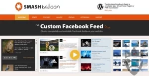 Custom Facebook Feed Pro - Extensions