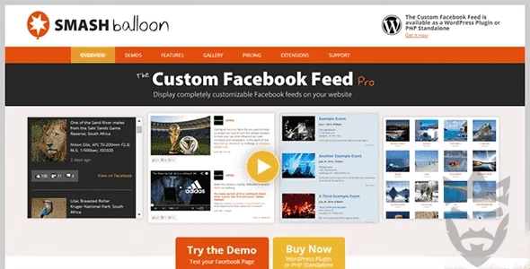 Custom Facebook Feed Pro