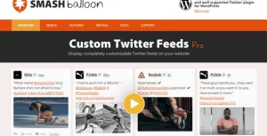 Custom Twitter Feeds Pro