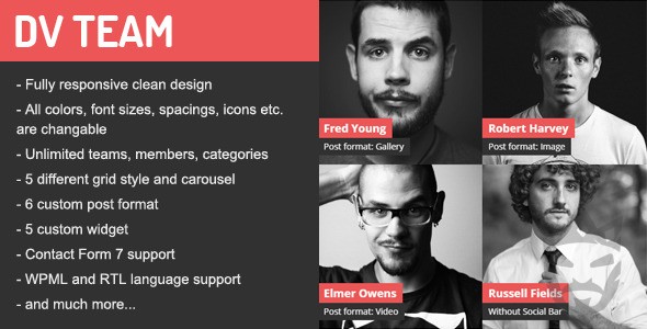 DV Team Responsive Team Showcase WordPress Plugin