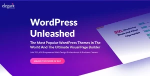 Divi Builder