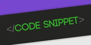 Divi Code Snippet Module