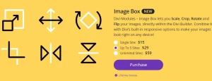 Divi-Modules Image Box