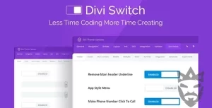 Divi Switch