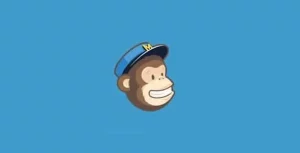 Download Monitor: MailChimp Lock