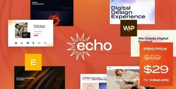 Echo - Digital Marketing & Creative Agency WordPress Theme