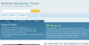 Elegant Themes BlueMist WordPress Theme