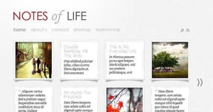 Elegant Themes DailyNotes WordPress Theme