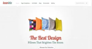 Elegant Themes LeanBiz WordPress Theme