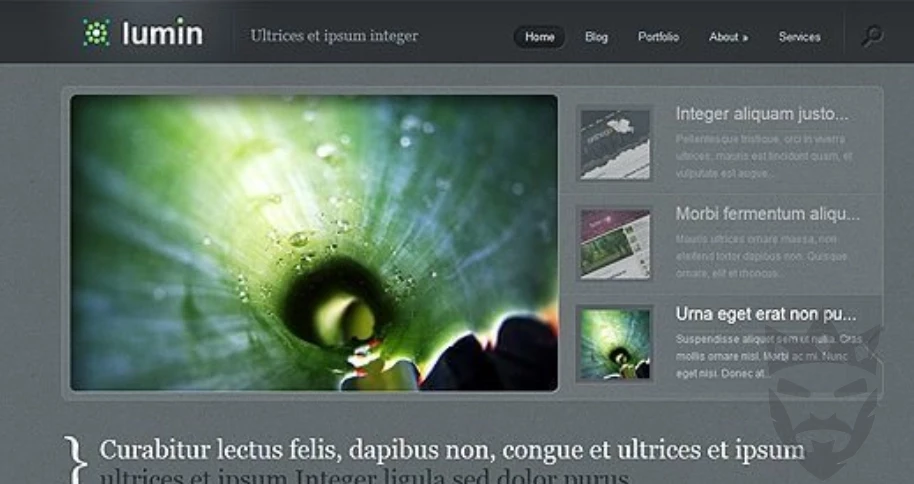 Elegant Themes Lumin