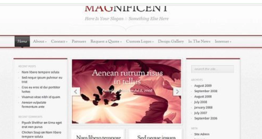 Elegant Themes Magnificent WordPress Theme