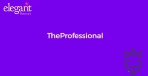 Elegant Themes TheProfessional