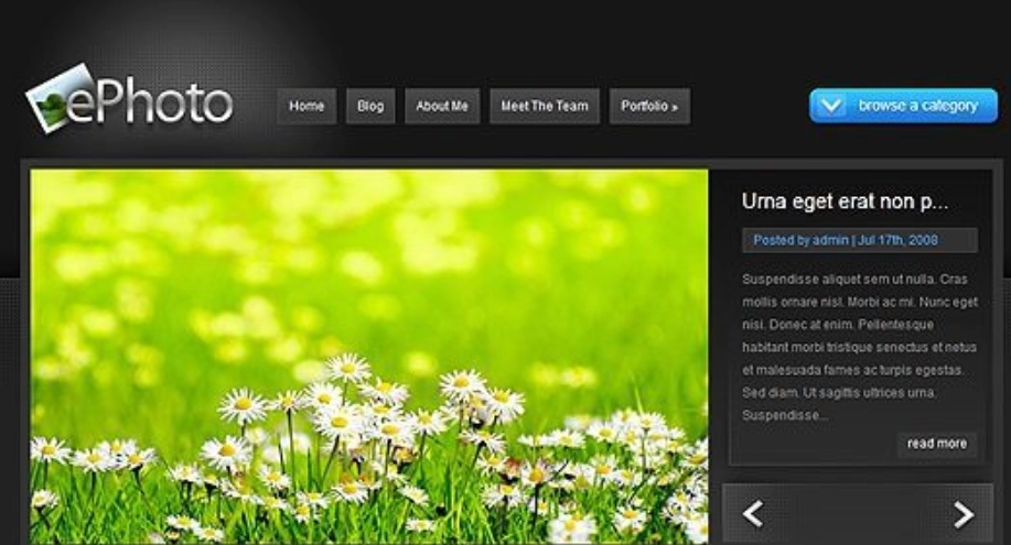 Elegant Themes ePhoto WordPress Theme