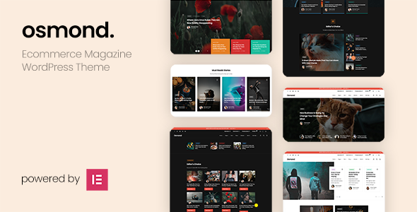 Qizon - Crowdfunding  Charity WordPress Theme