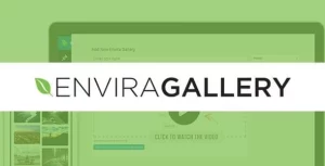 Envira Gallery - Core Plugin