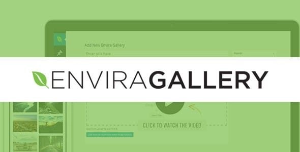 Envira Gallery Downloads Addon