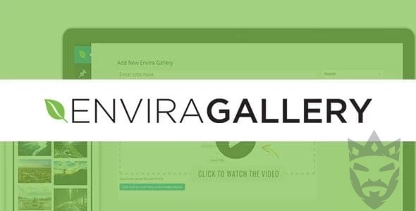 Envira Gallery Pagination Addon