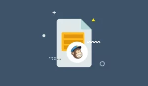 Everest Forms - Mailchimp