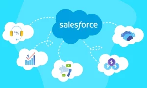 Everest Forms - Salesforce