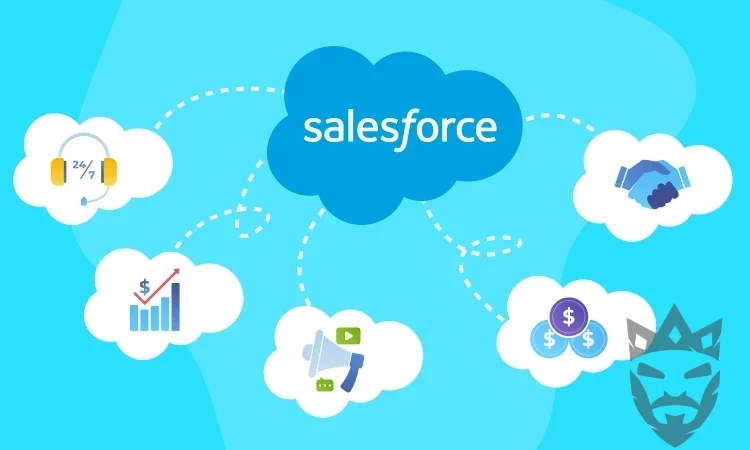 Everest Forms - Salesforce